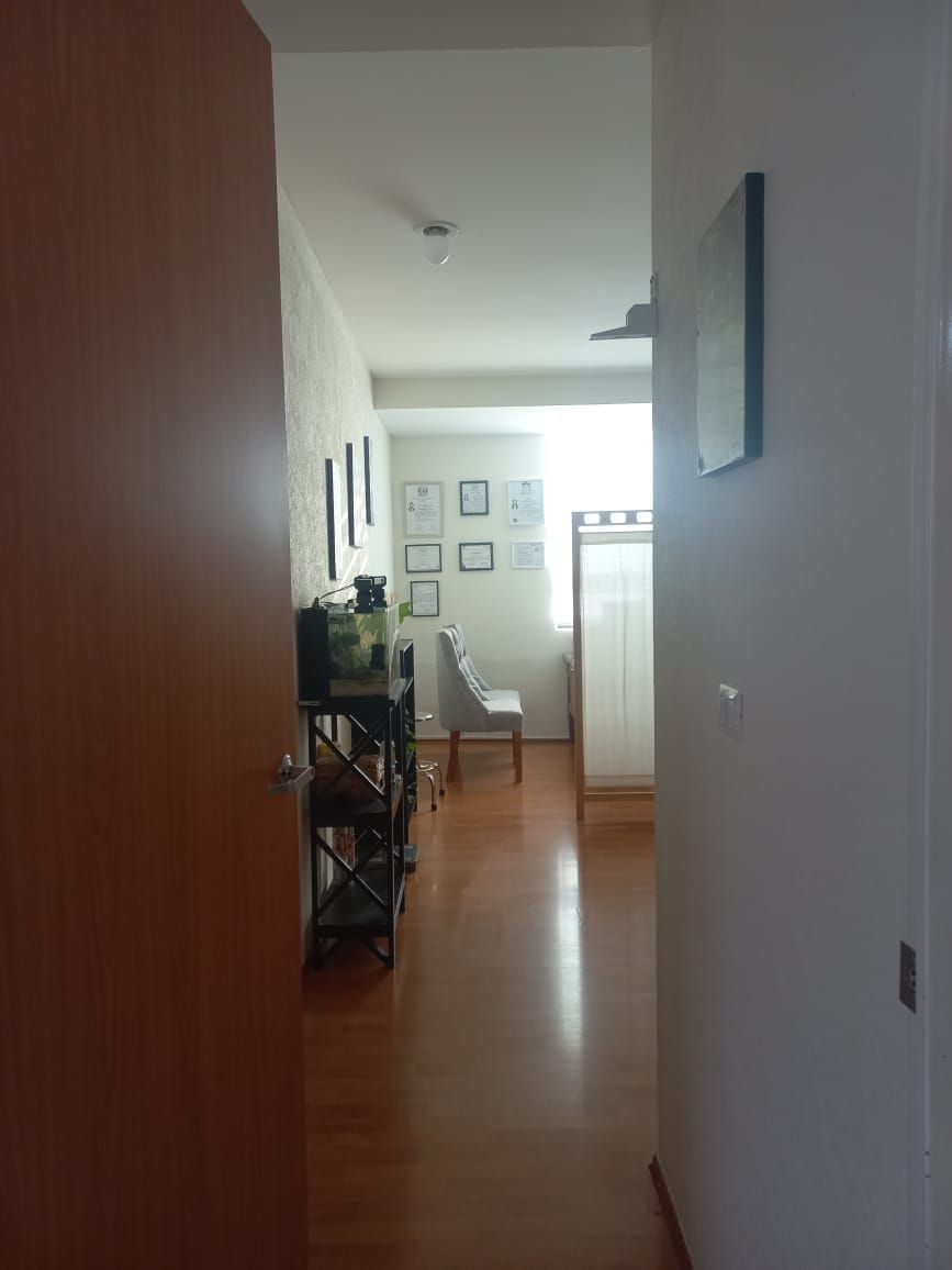 Erika Olguín Villamar-11