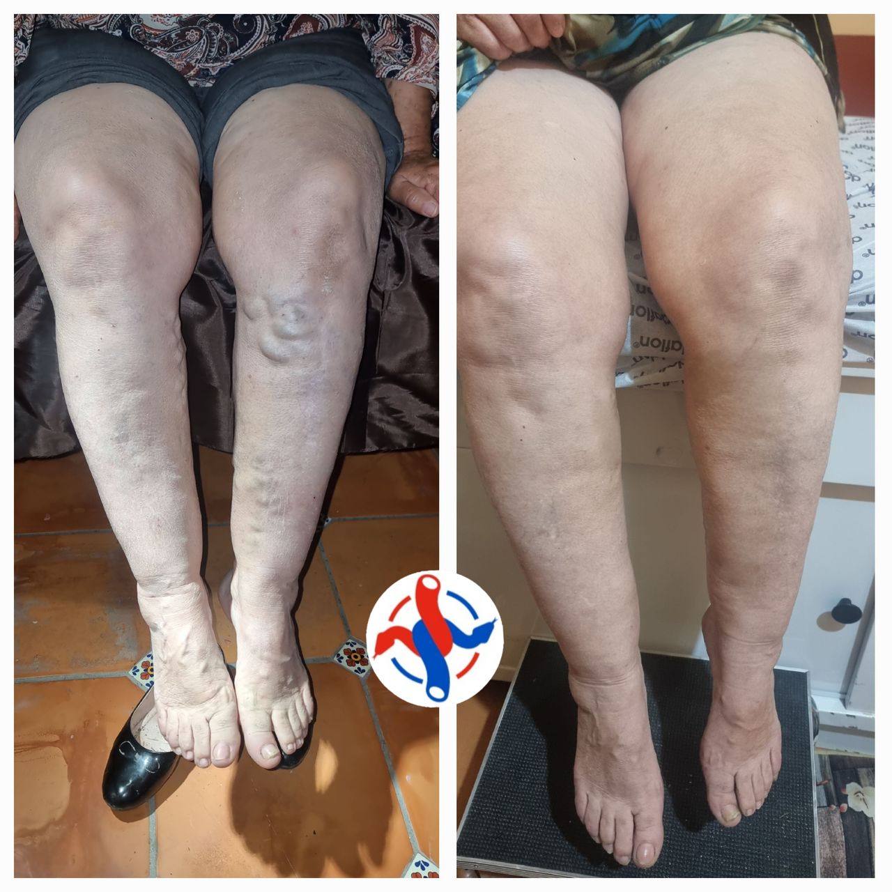 José Reyes Gómez Romo-9