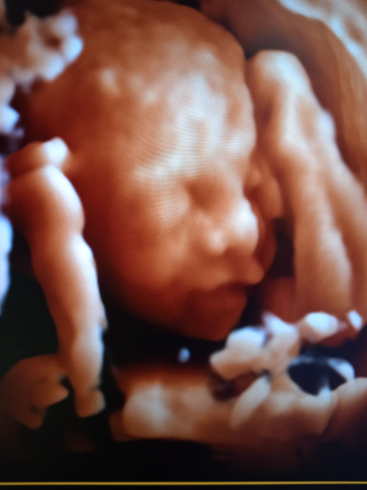 Carlos Gabriel Briones Vega-9