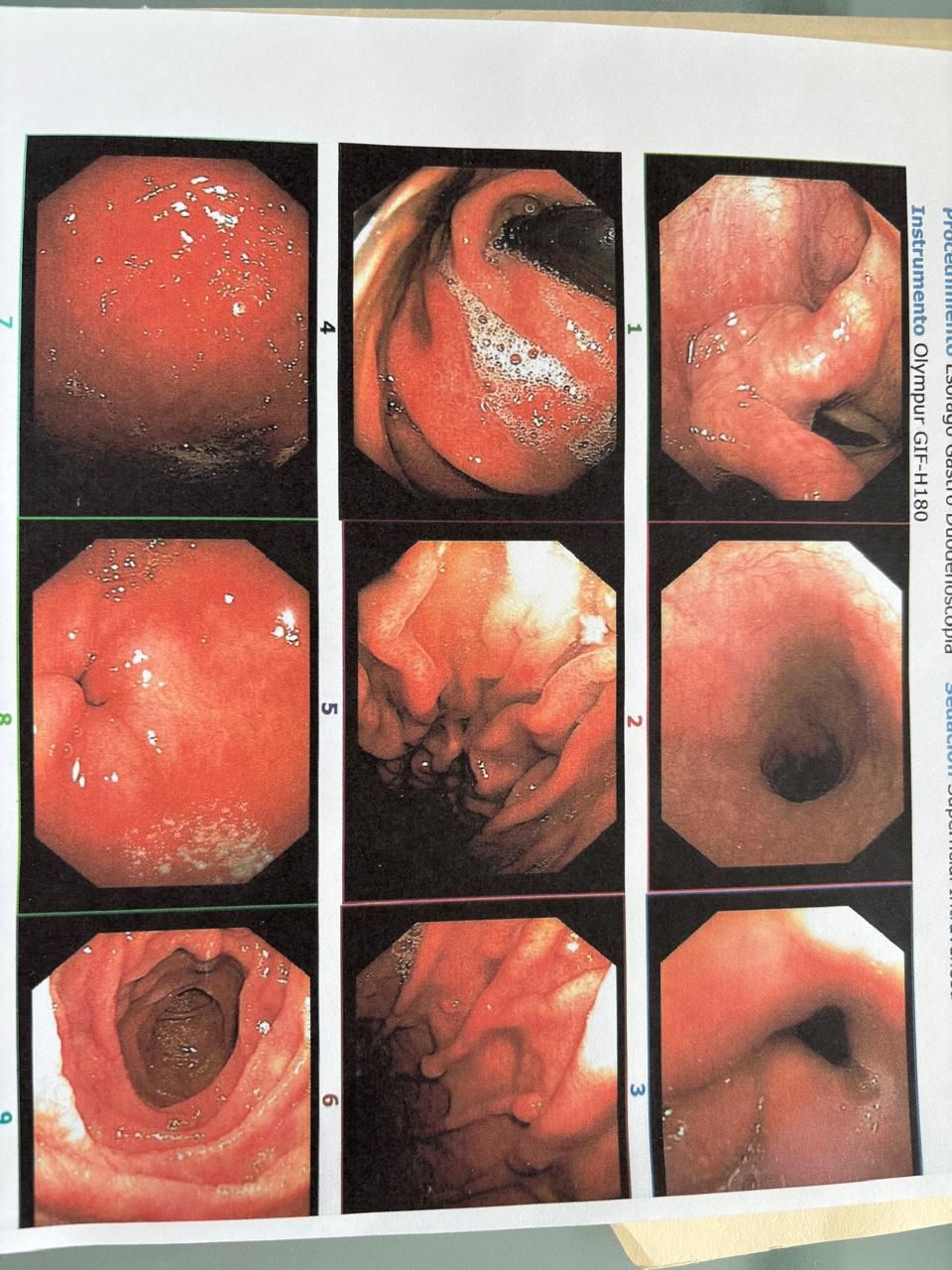 Angelica Gutierrez Chavez-3