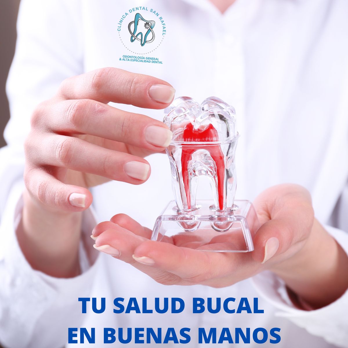 Jorge Benjamin Amezcua Ramos-9