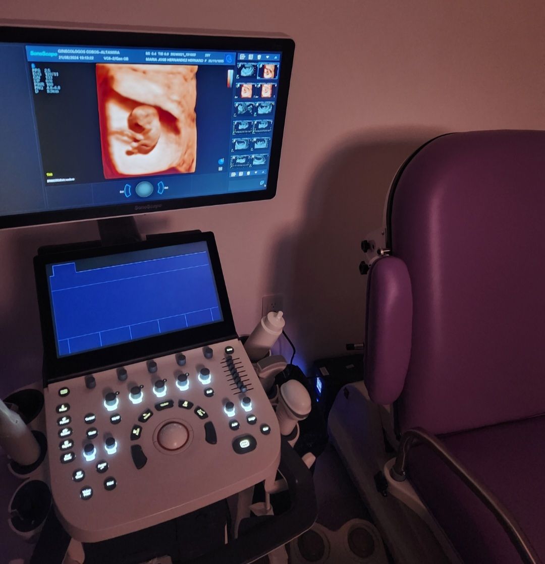 Edgar Adrián Cobos Robles-7