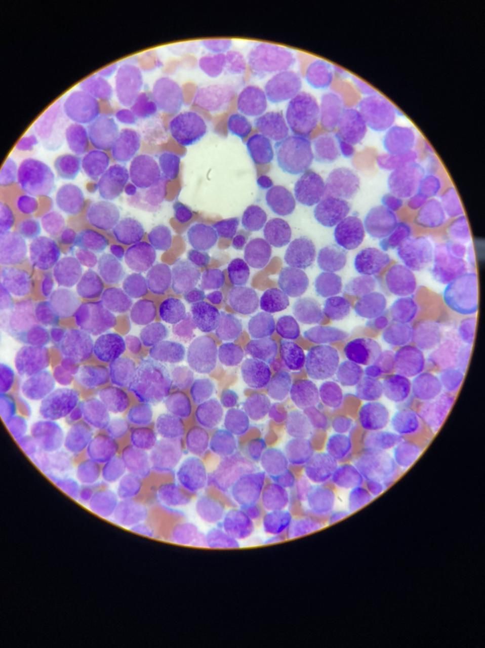 Irina Y. Cazares Martinez-14