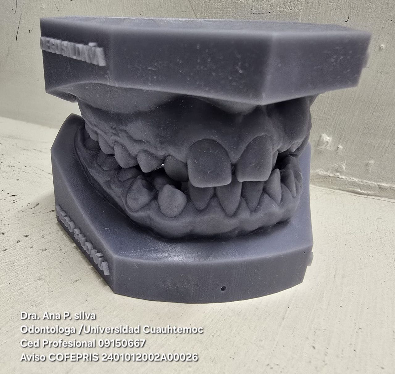 Ana Daniela Puente Silva-26