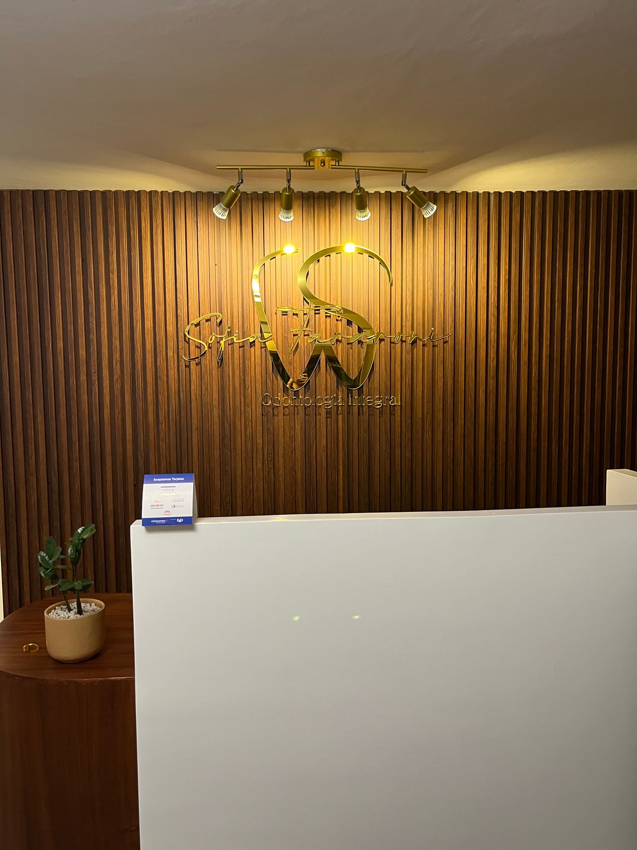 Sofia Fararoni Canton-4