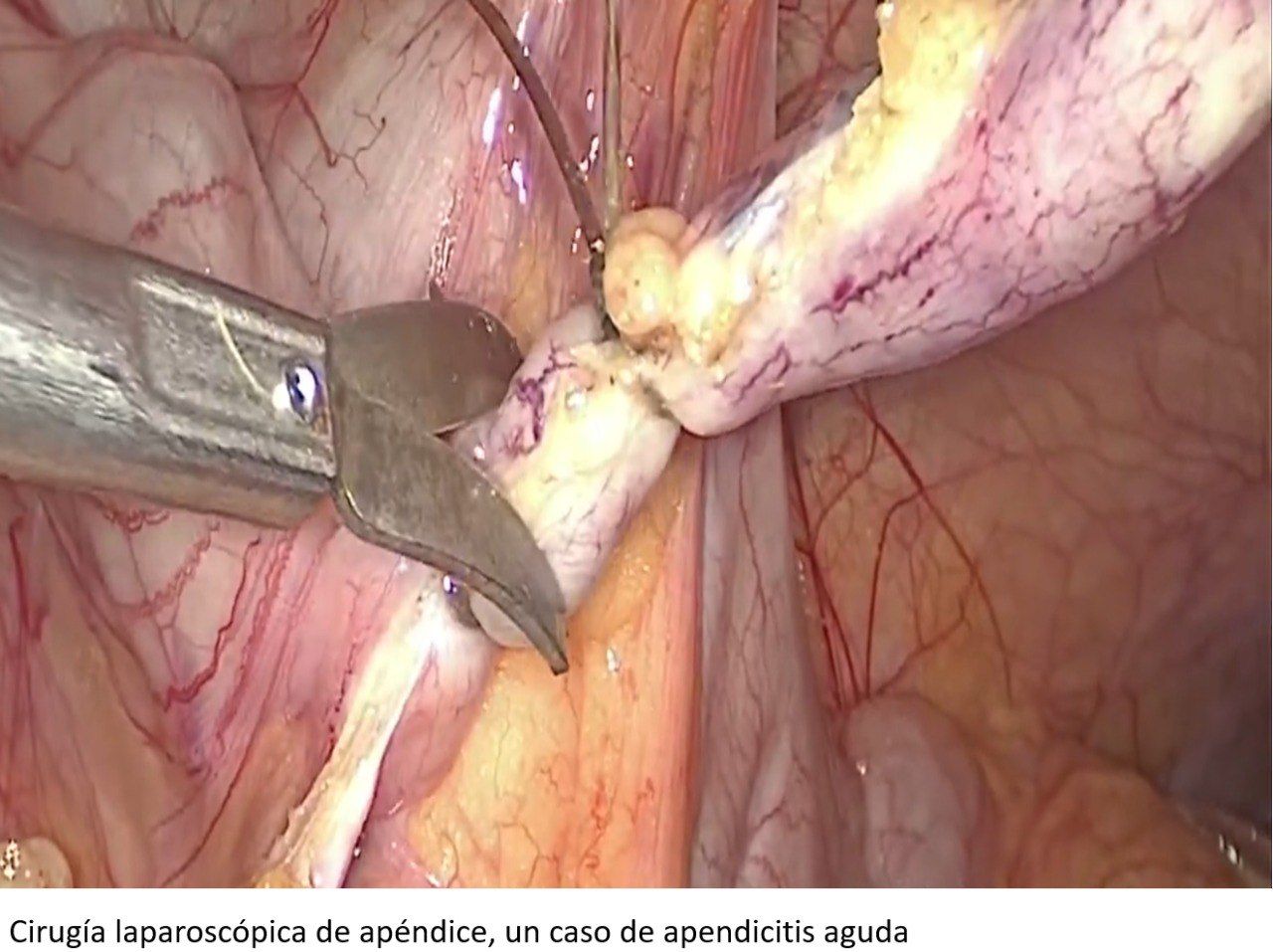 José Miguel Romero De La Vega-1