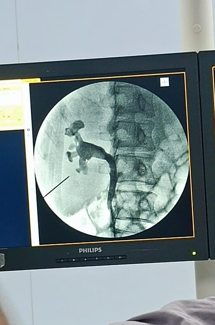 Rodrigo Guevara Gómez-15