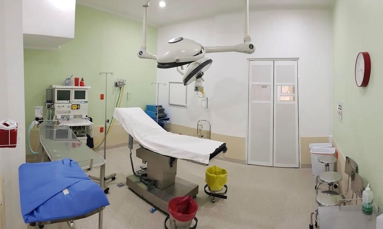 Alberto Michelle Navarrete Silva-5