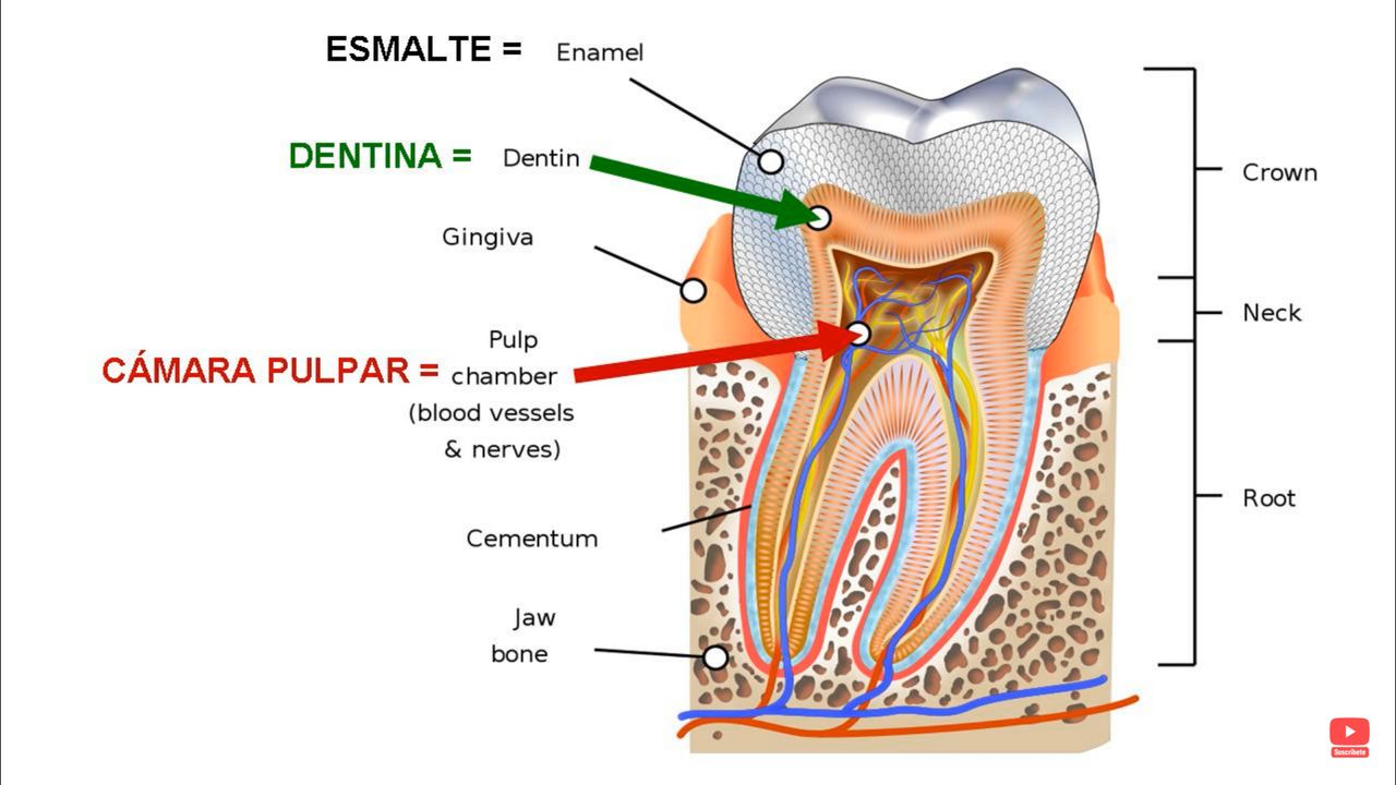 Alberto Rivera Nava-11