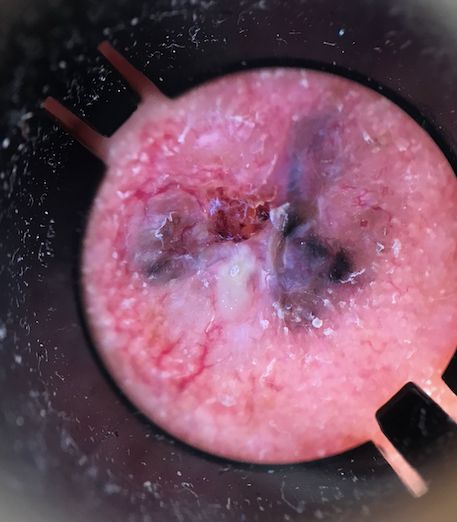 Salvador Alonso Gutiérrez Ávila-10