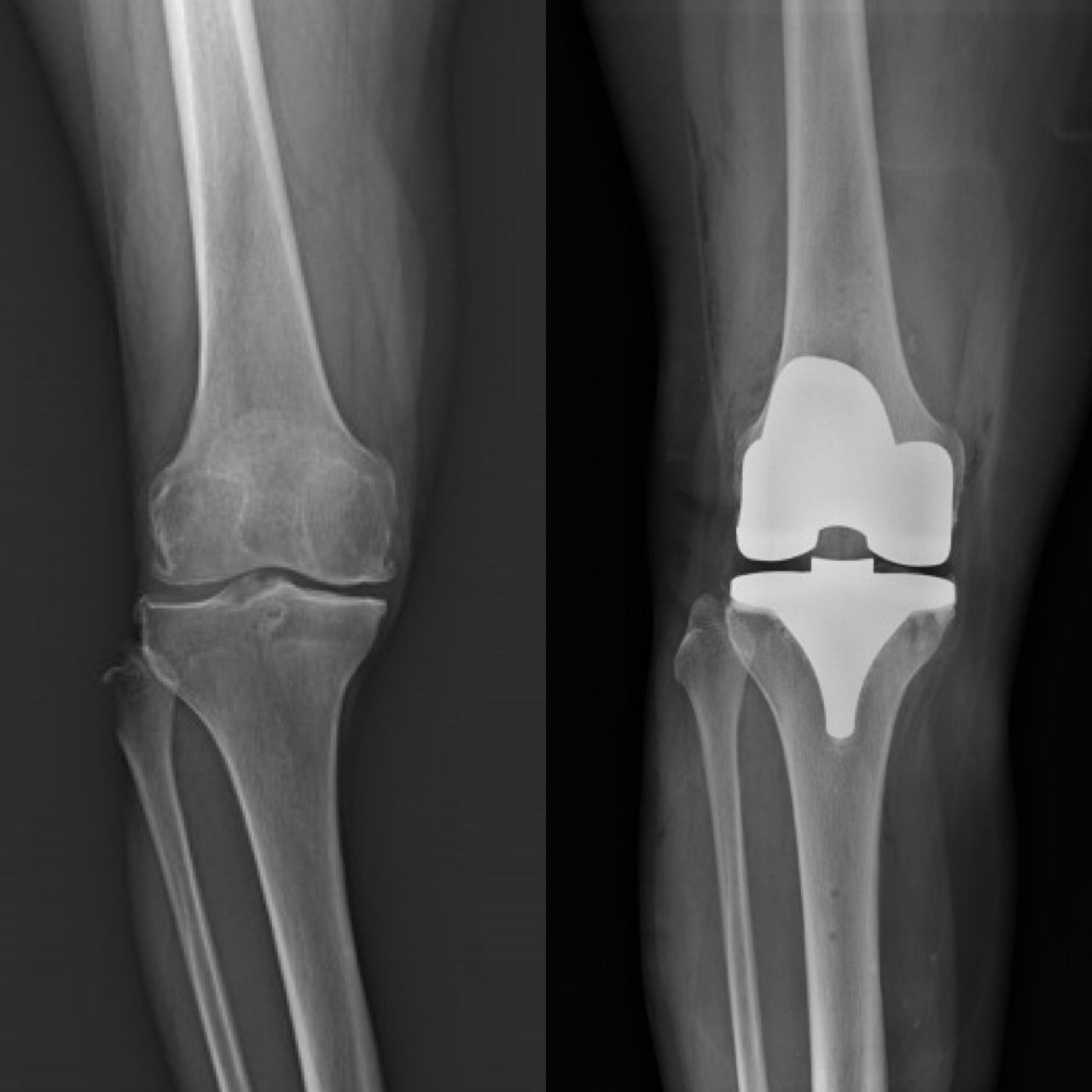 Alejandra Fuentes Martínez-15