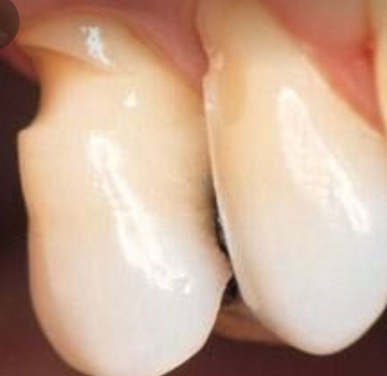 Lina Orozco Aguilera-1