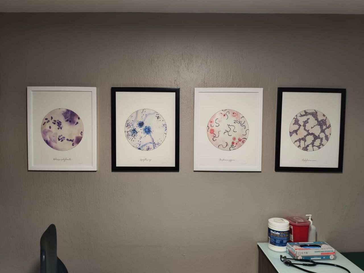 Raciel Jaimes Bravo-1