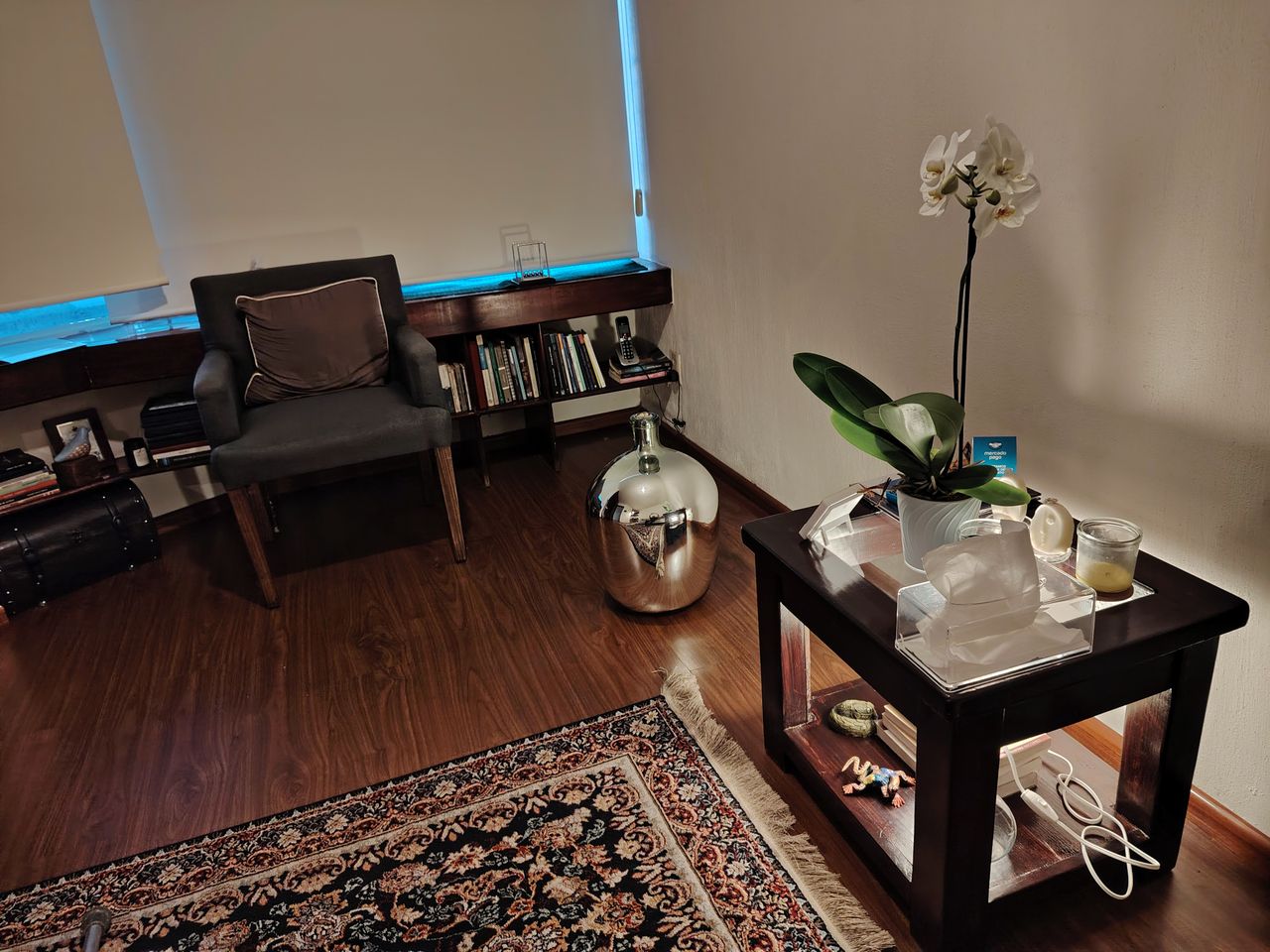 Raúl Armando Santana Rivas-8