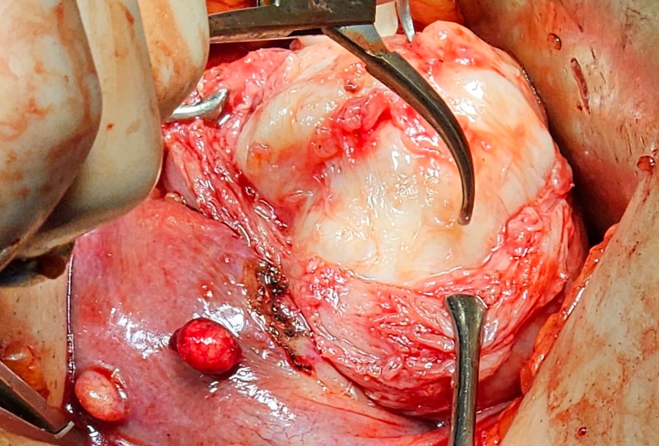 Martha Helena Cabezas Pérez-20