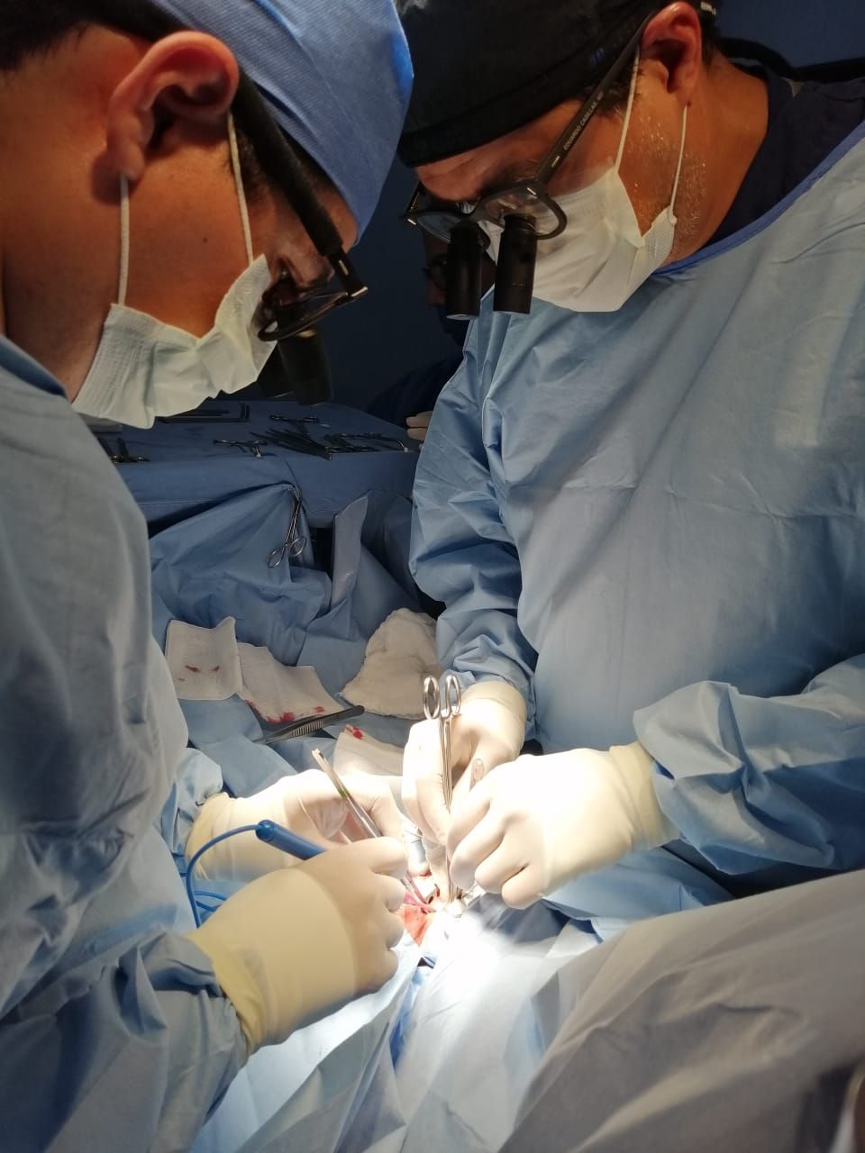 Oscar Jesus Gutiérrez Camarena-3