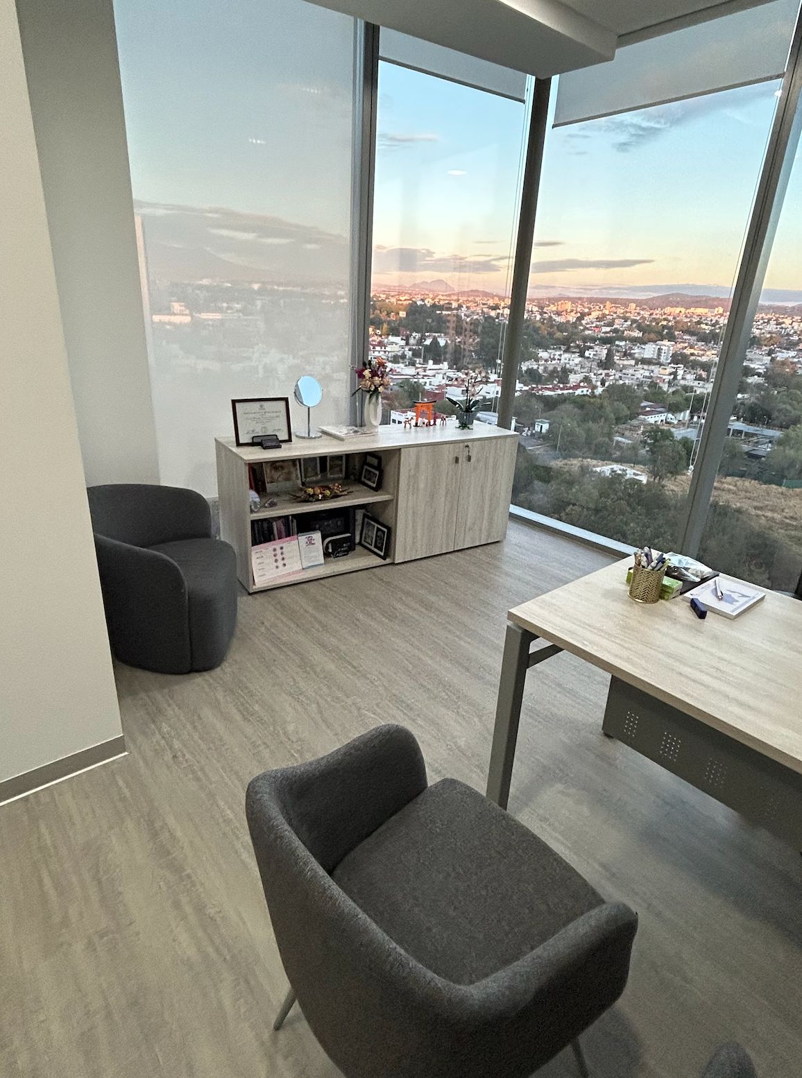 Carlos Damián Palafox Vidal-3