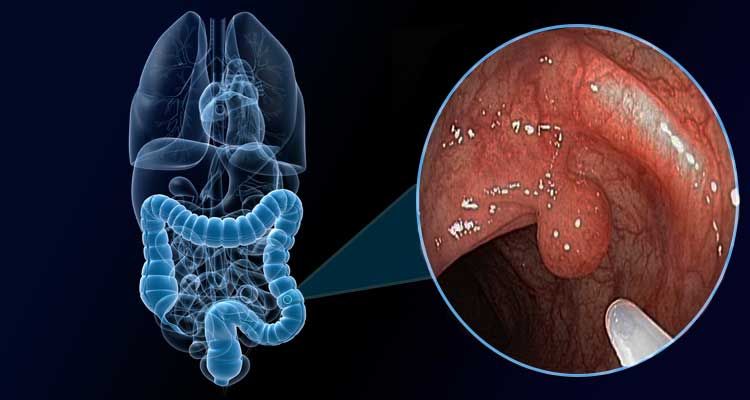 Victoria Edna Barajas Carrillo-2