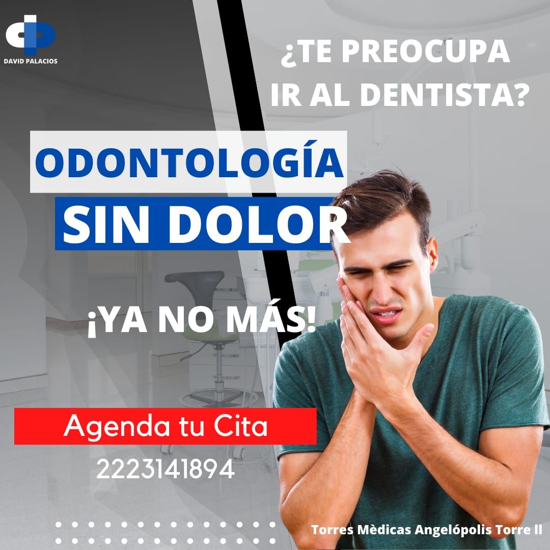 David Palacios Rodríguez-7