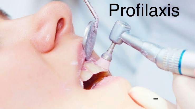 Wendy Sánchez P.-20