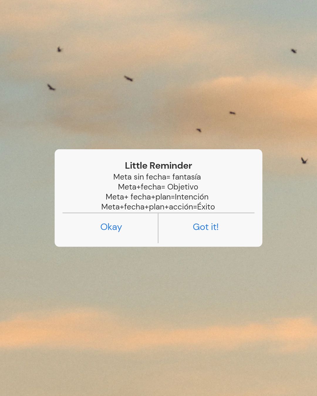 Ana Sofía Ramírez Davila-4