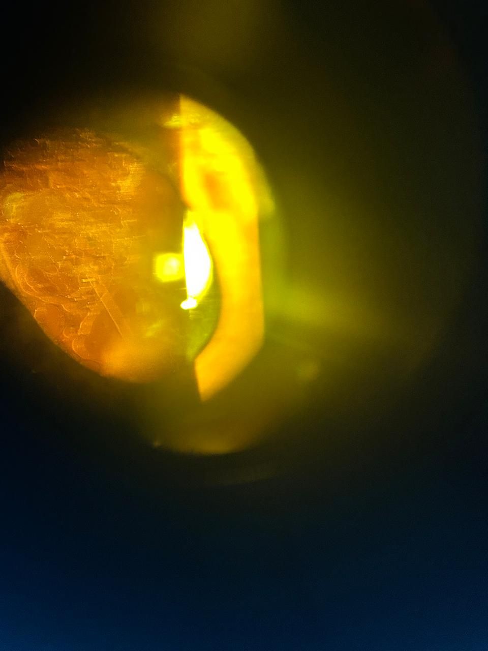 Daniel Martin Laguna Muñoz-30