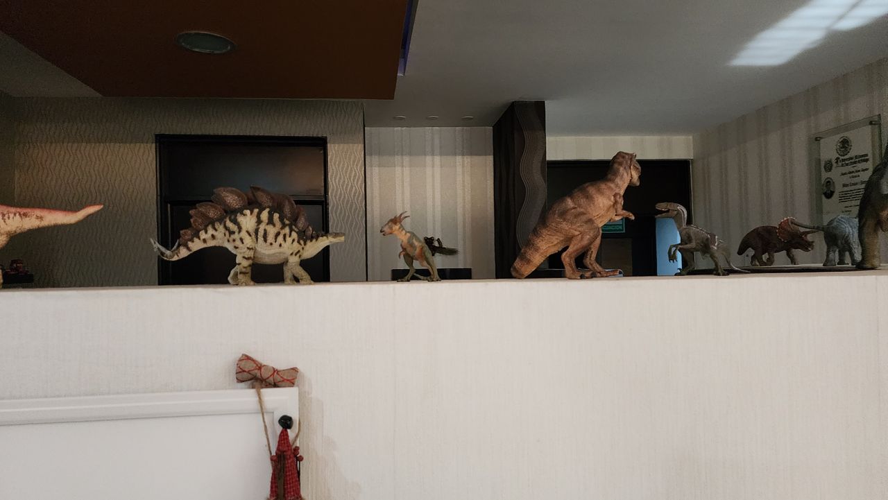 Mario Alberto Mora Sagrero-37