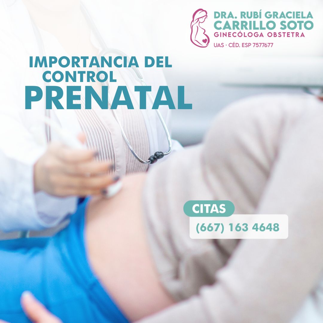 Rubi Graciela Carrillo Soto-3