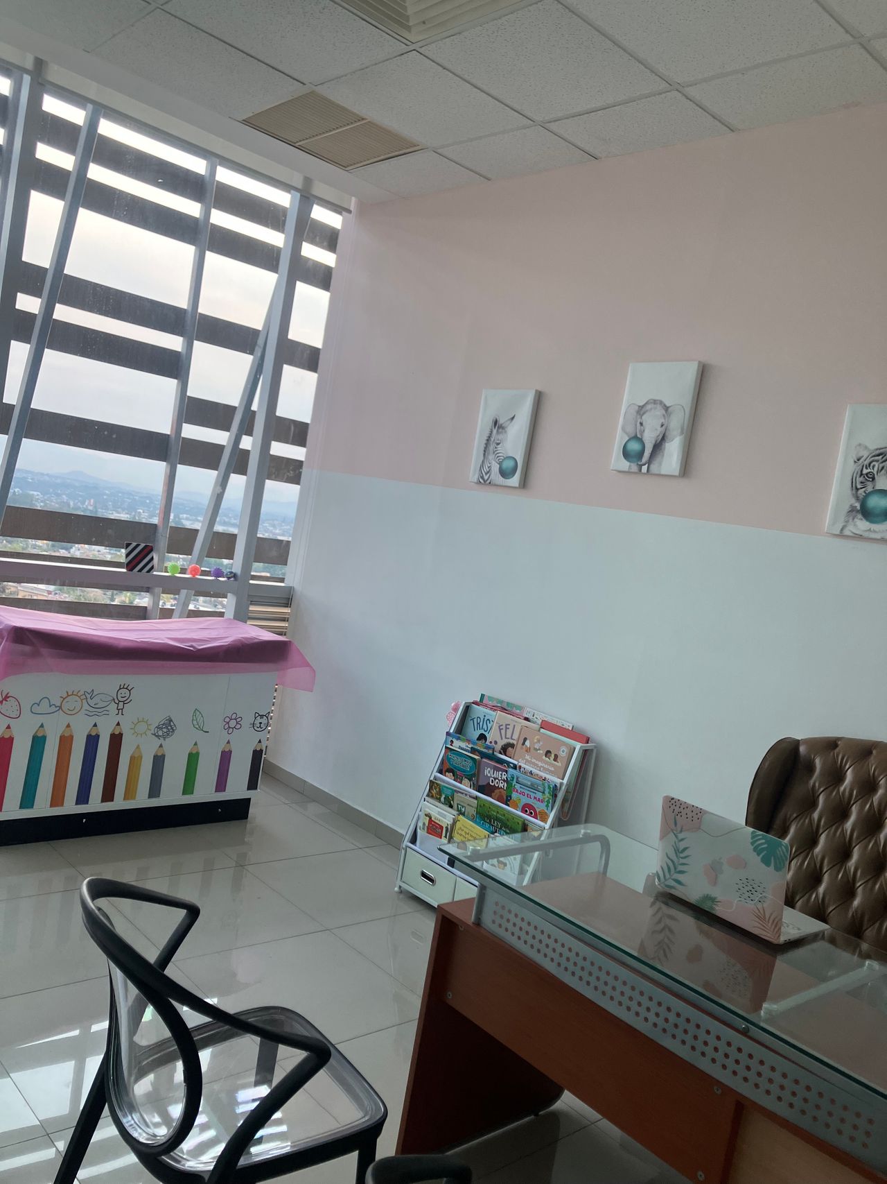 Marisol Silva Dirzo-7