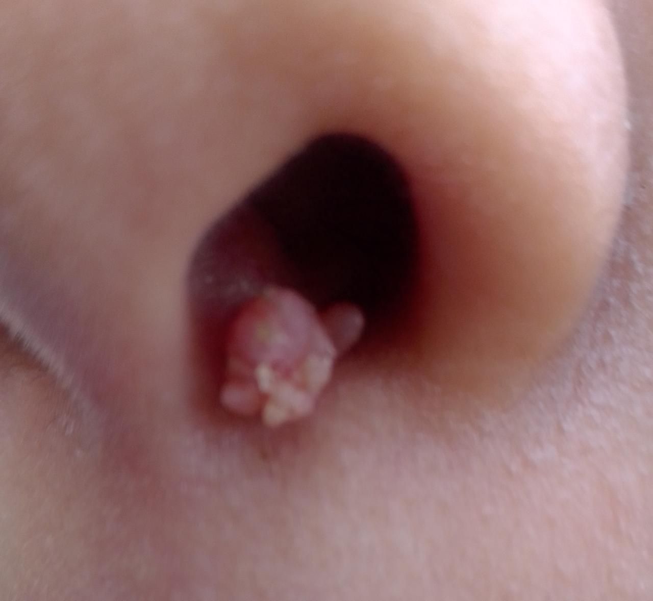 Hector Miguel Segura Gomez-65