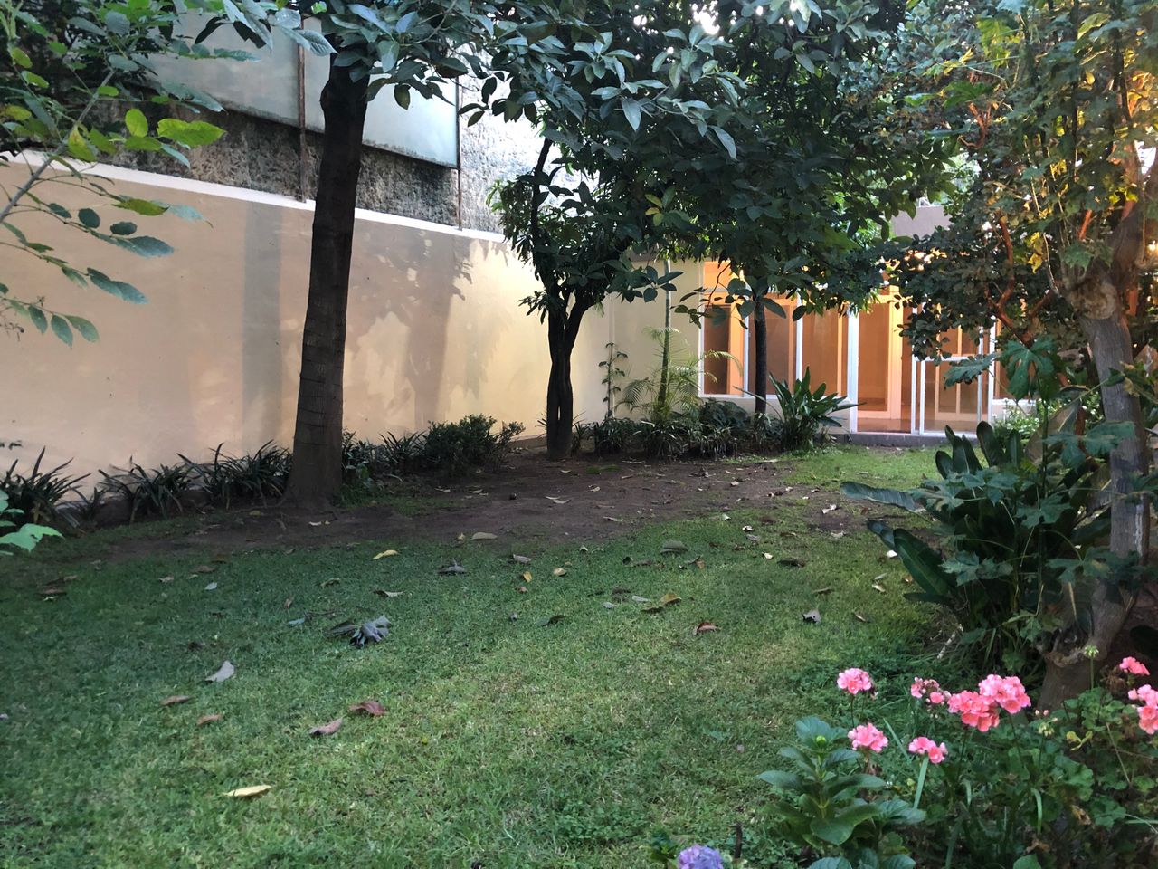 José Andrés Magaña Larios-7