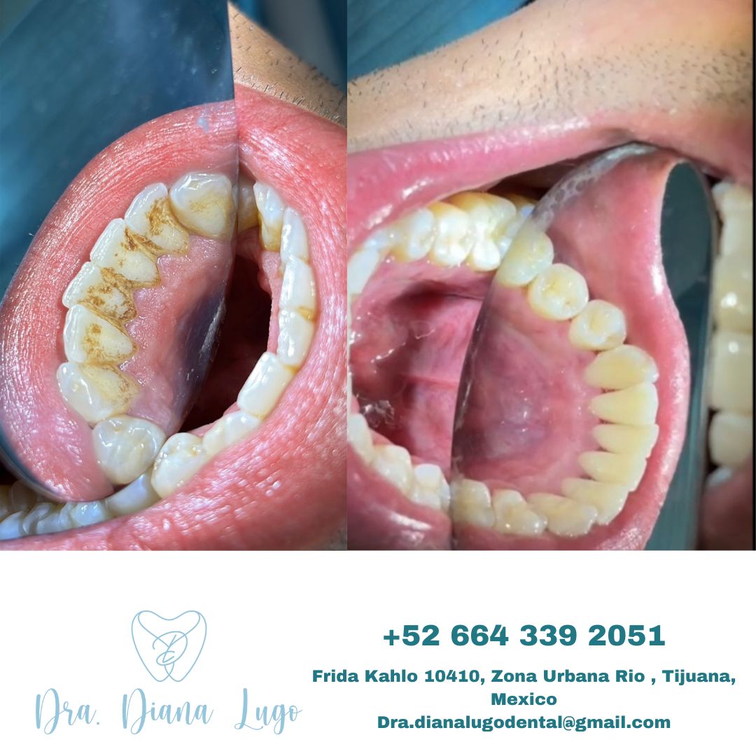 Diana Paola Lugo Bojorquez-13