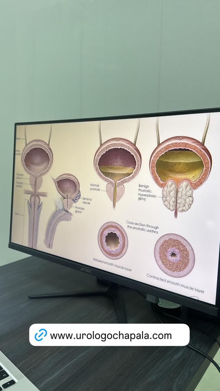 Dario Gonzalez Cuellar-13