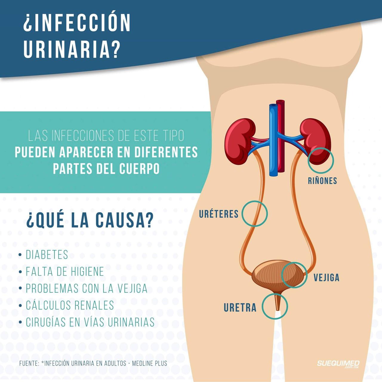 Fernando Bustos Angulo-4