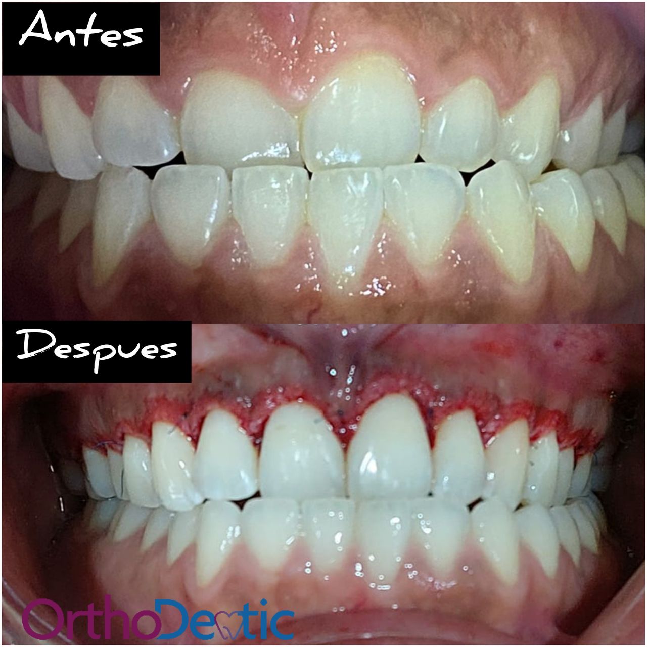 Mónica Bridgette Guerrero Martínez-127