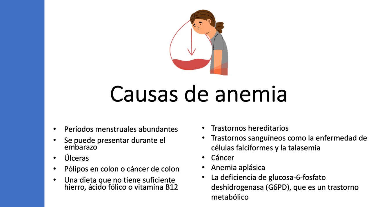 Araceli Leal Alanís-3