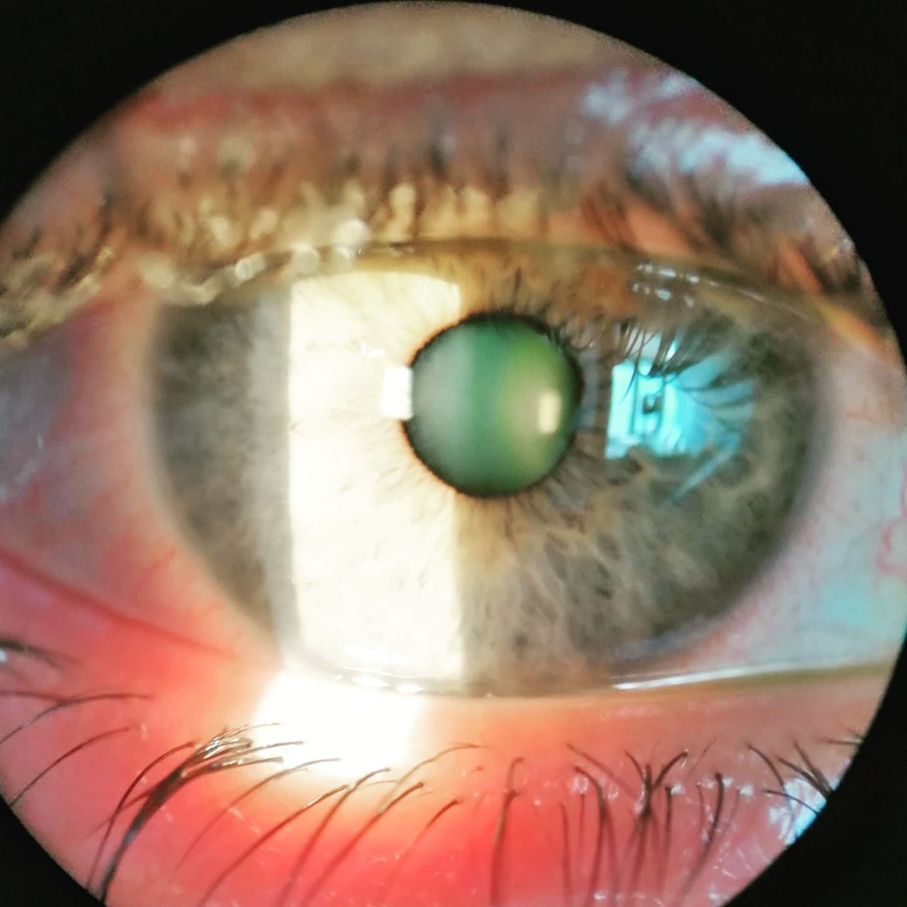 Dalia Méndez Marín-12