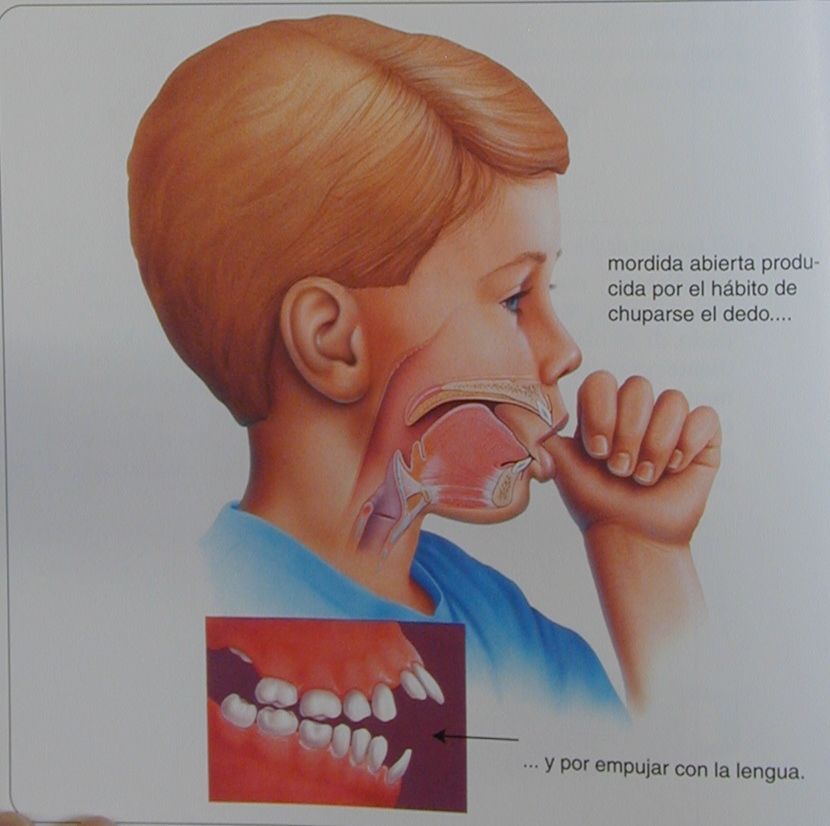 Javier Ibáñez Brambila-9