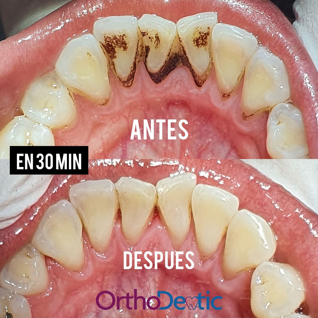 Mónica Bridgette Guerrero Martínez-138