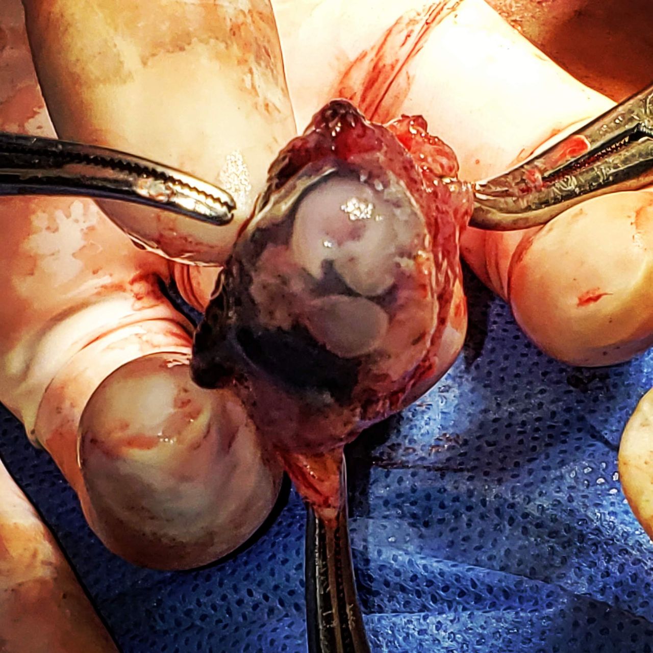 Marisol I. Alvarez Carrasco-26