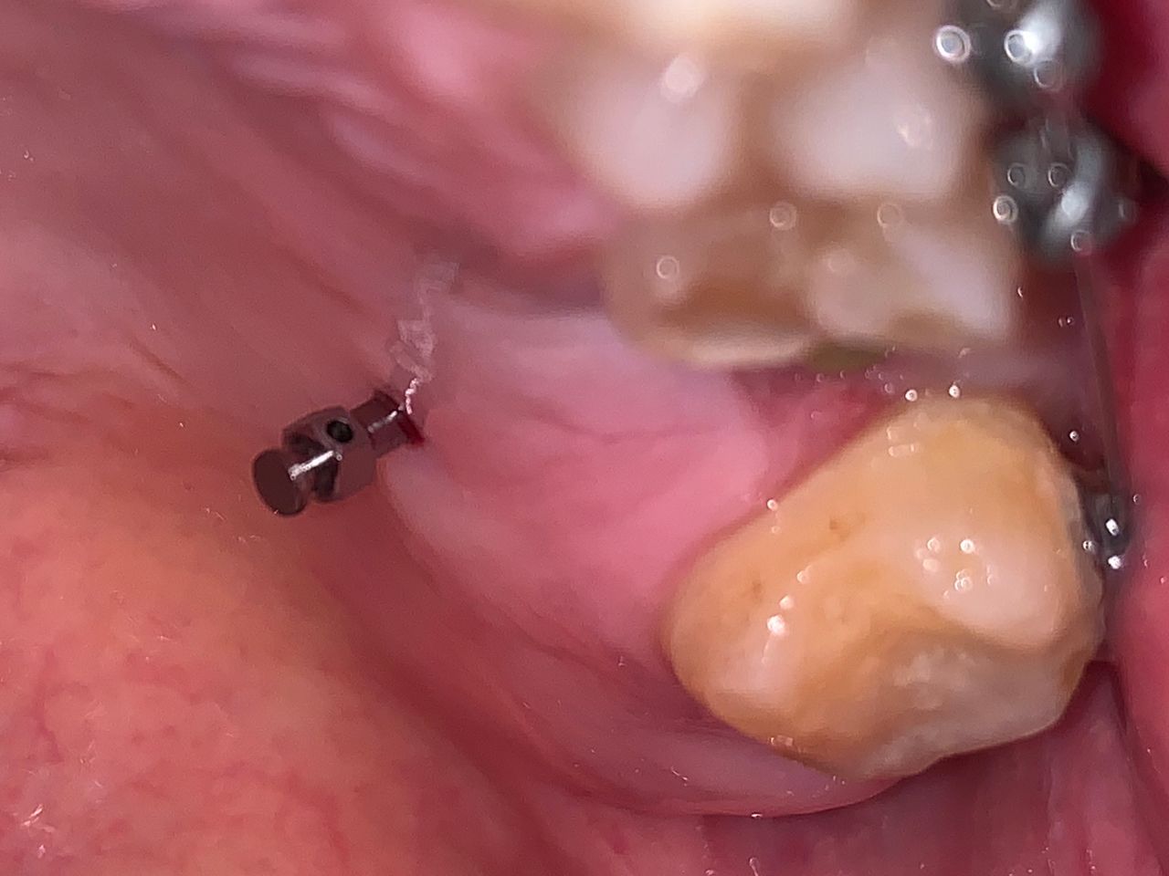 Rocio Selenia Vázquez Cruz-7