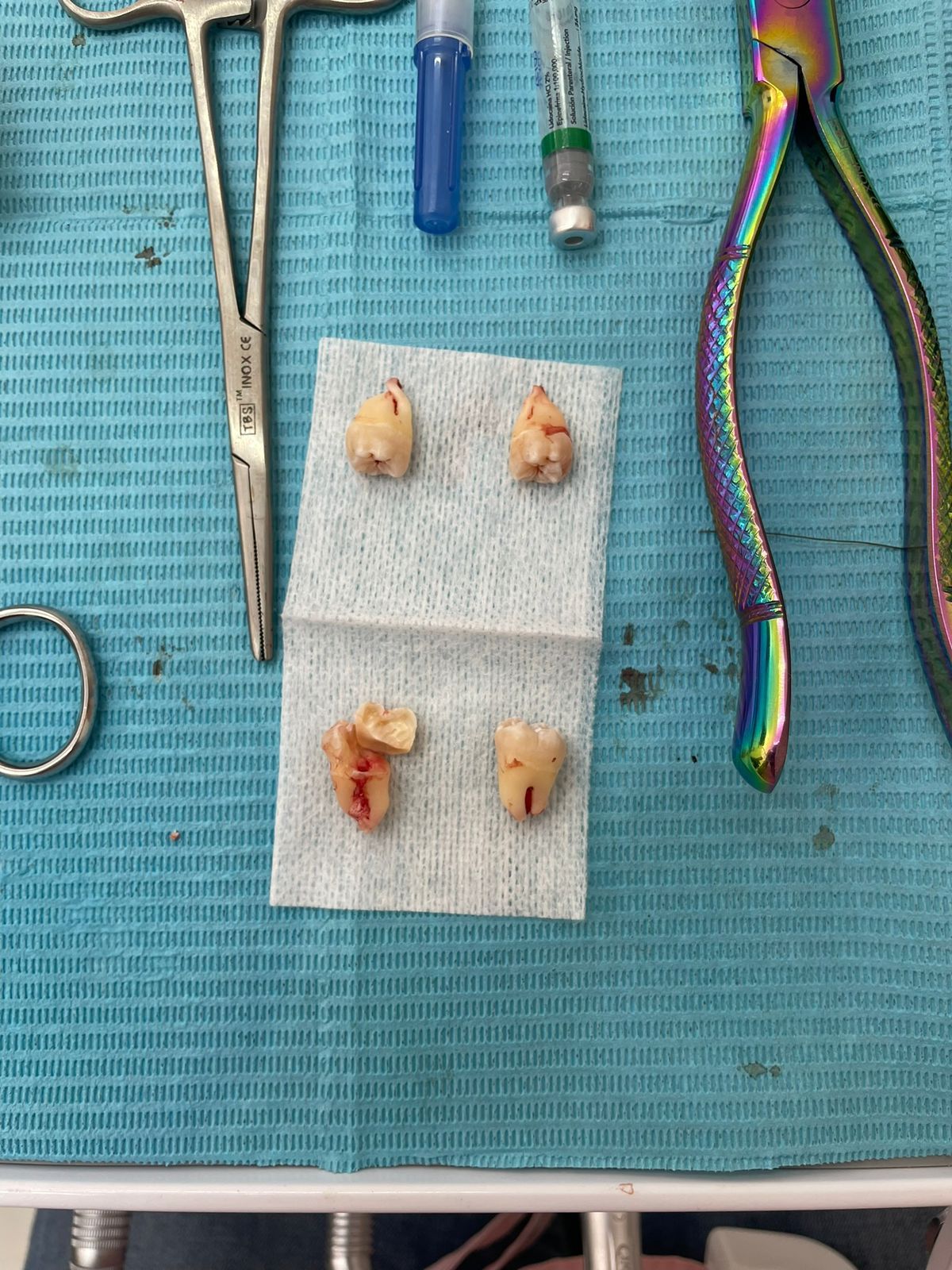 Valeria Muñoz Balboa-4