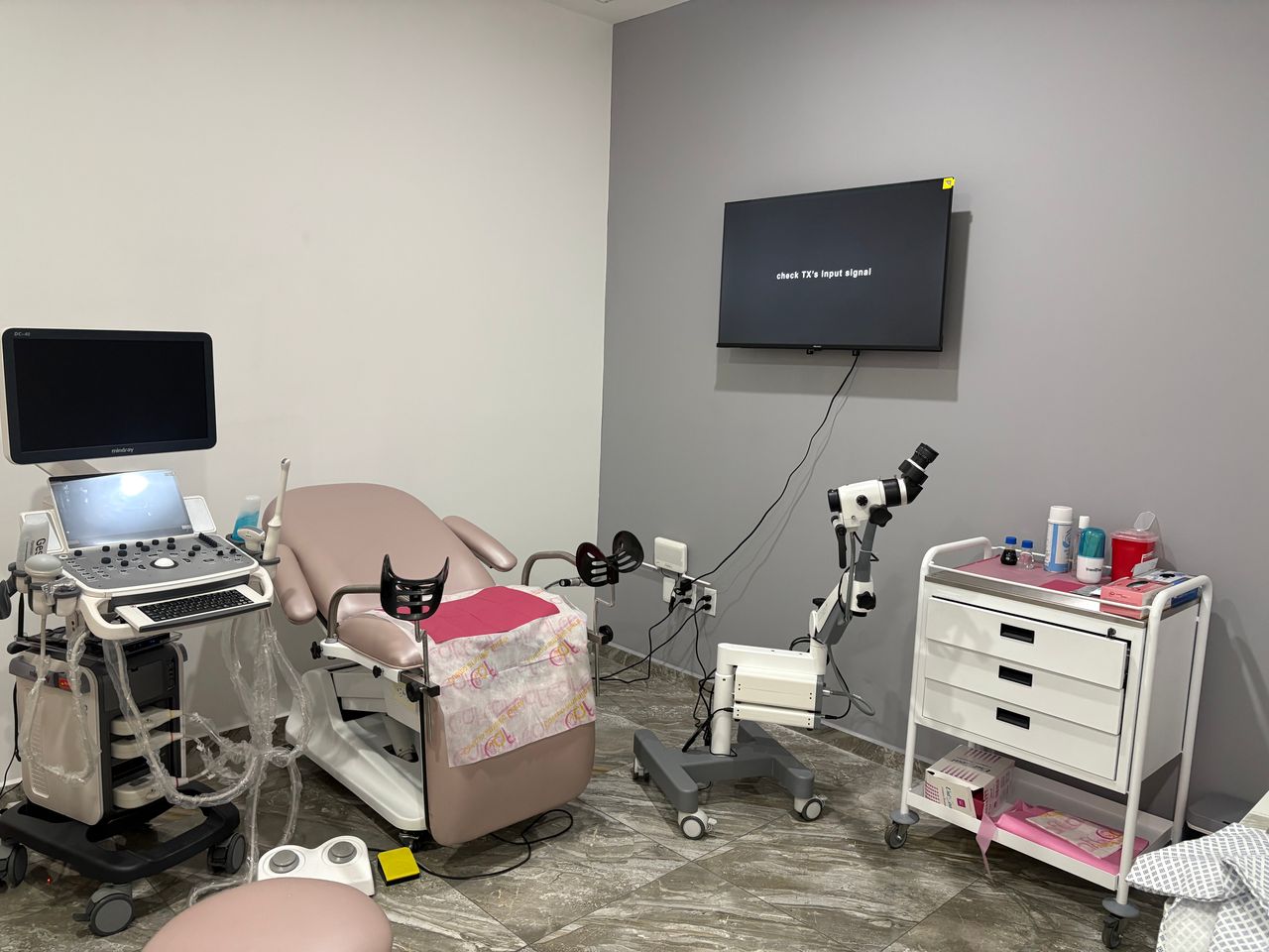 Aline Bermúdez Nájera-2