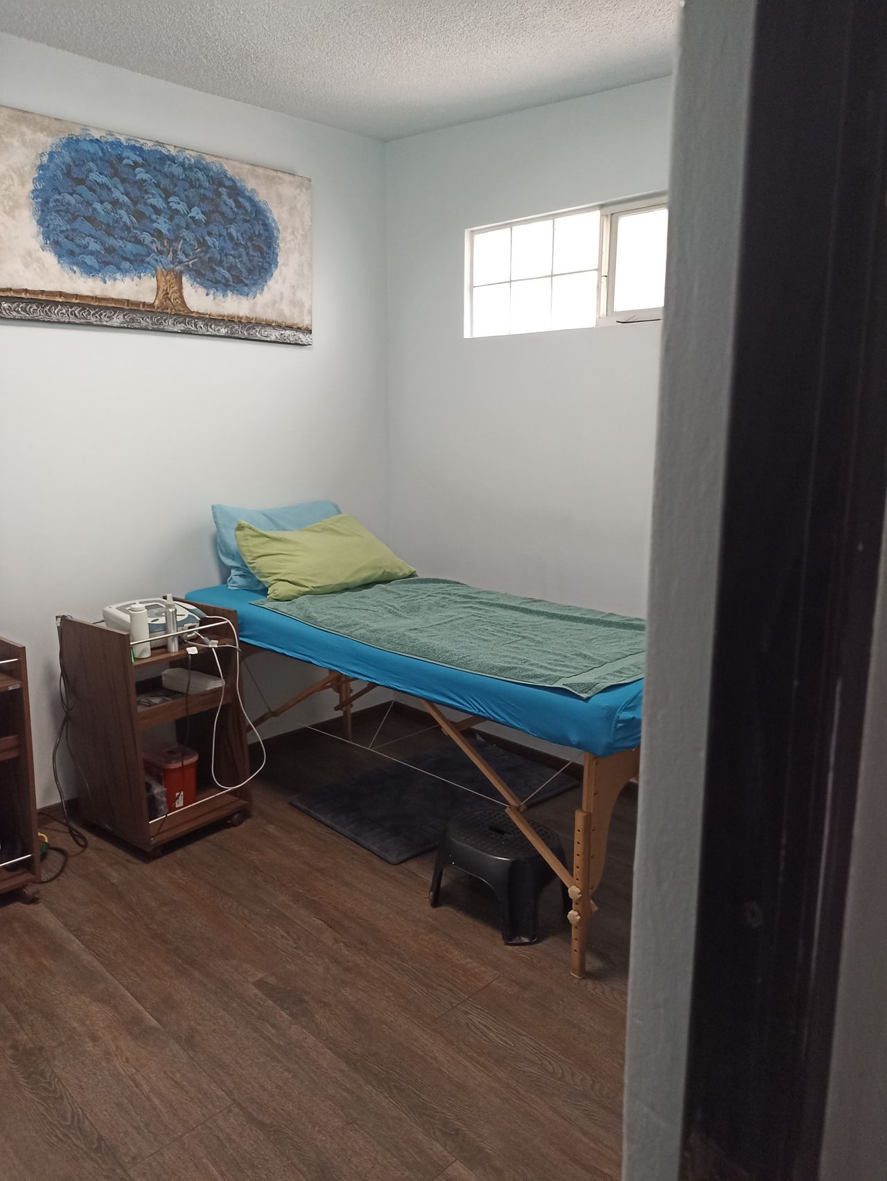 Aimeé Peredo Llaguno-2