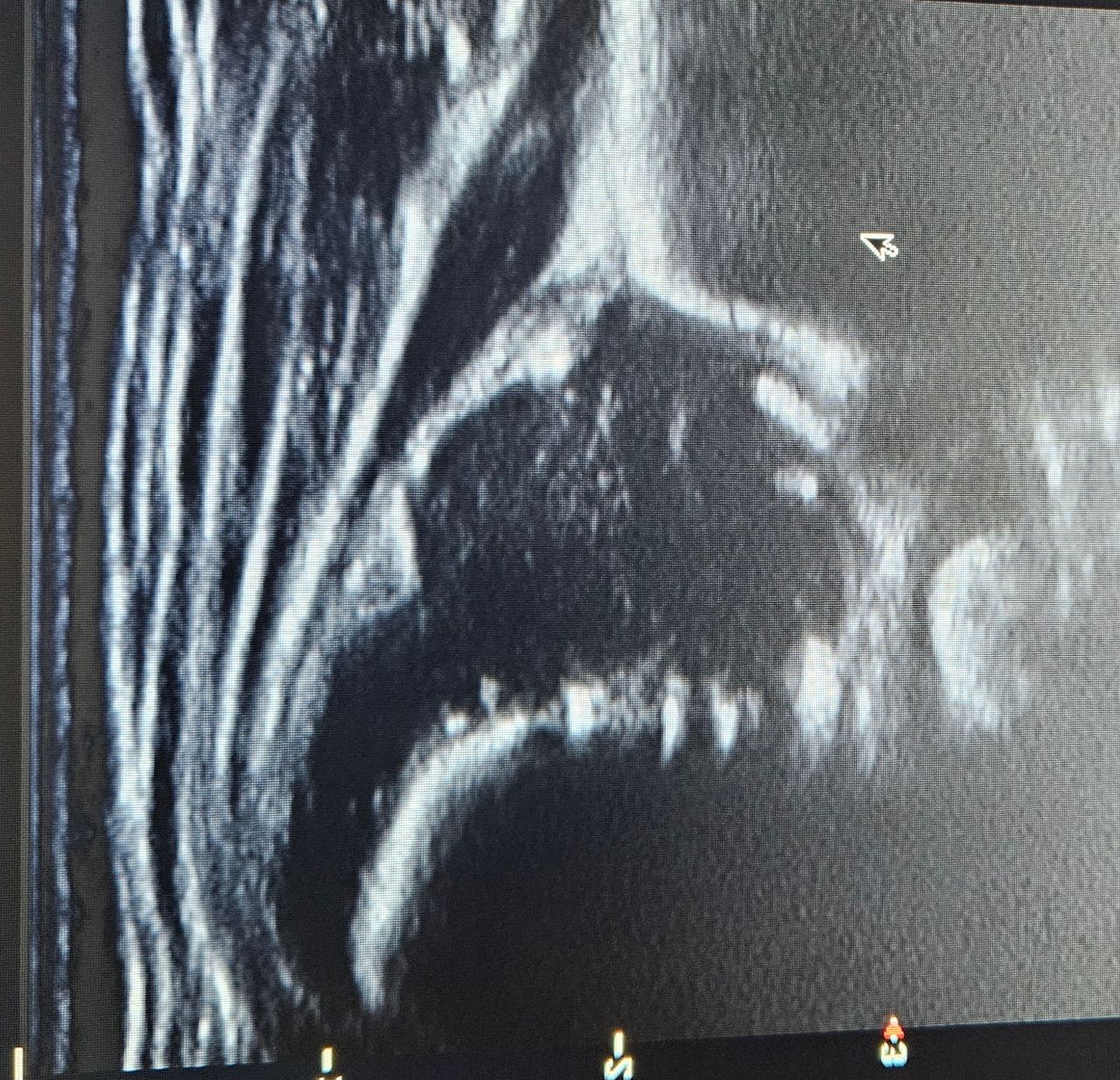 Gonzalo Alfonsín López-4