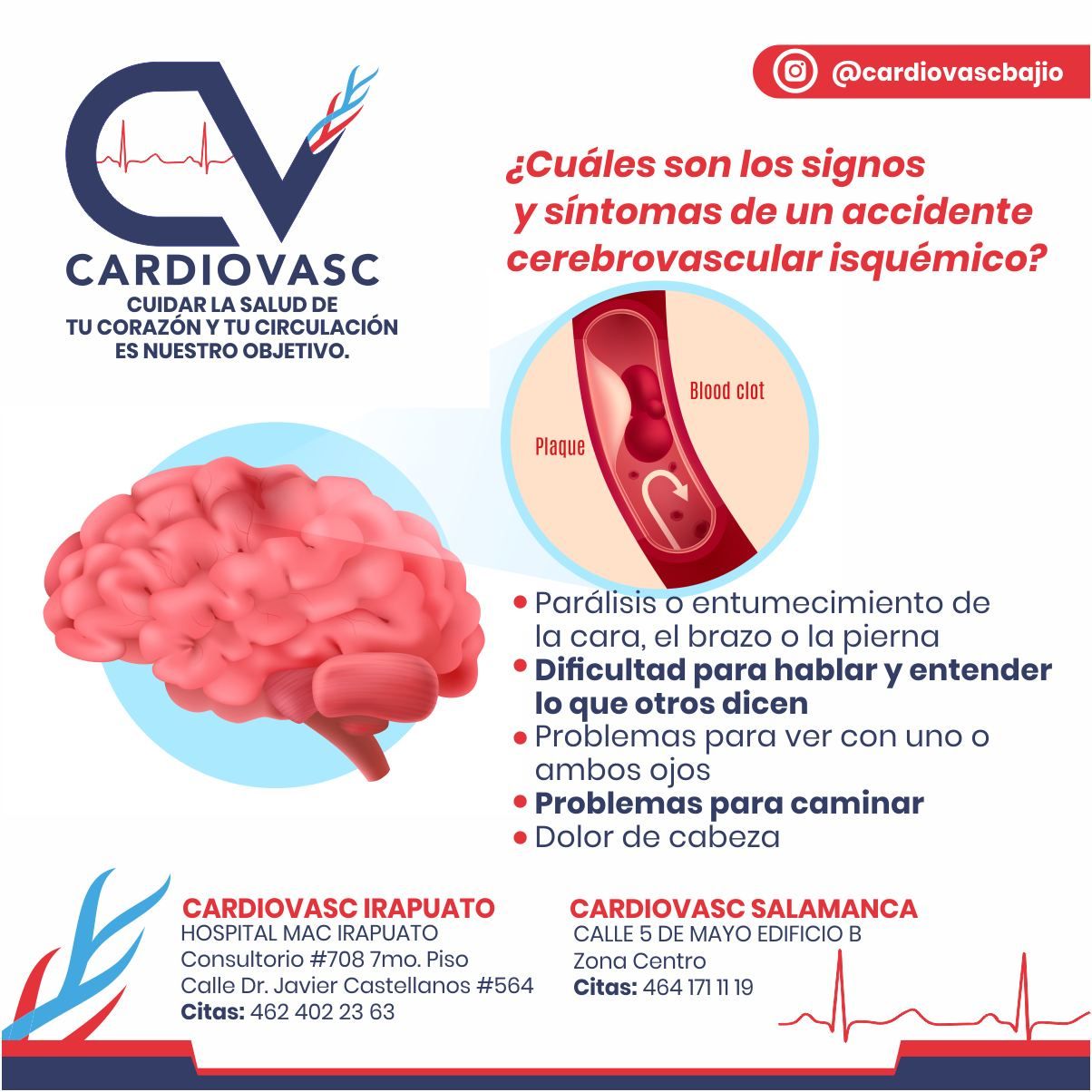 Fernando Guardado Bermúdez-6