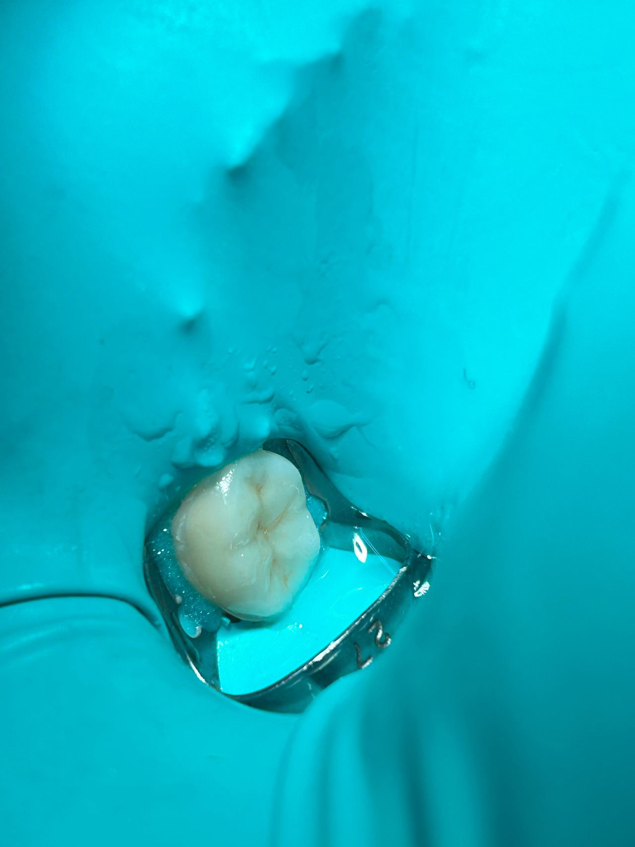 Sandra Carolina Cigala Martínez-8