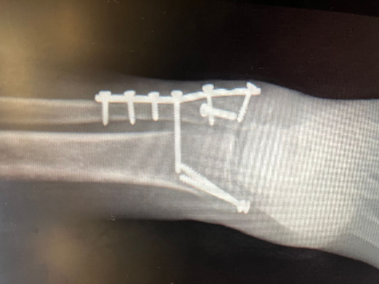 Juan Carlos Zavala Garcia-2