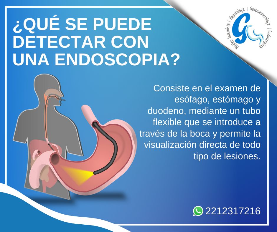 Maria Eddy Lucia Niño Almanza-5