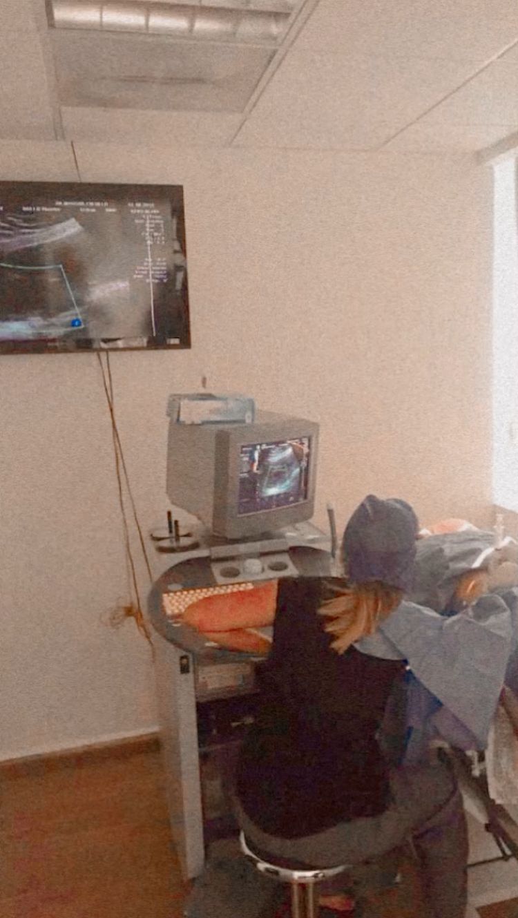 Brenda Lisset Briones Bernal-10